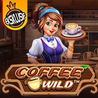 coffe wild